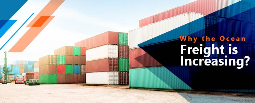 Ocean Freight is Increasing