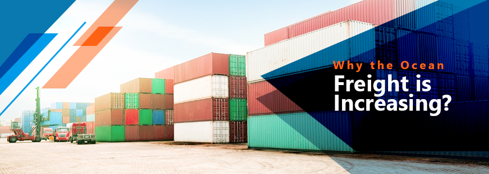Ocean Freight is Increasing